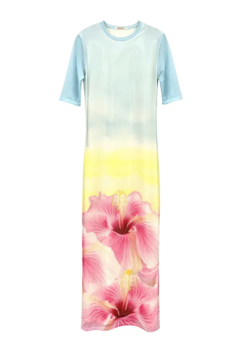 Donna Tule Dress